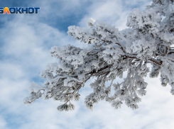 Снежная стена надвигается на запад Волгоградской области