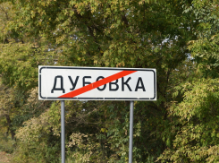 Дубовский депутат заявил о нападении чиновницы из-за птичьего помета