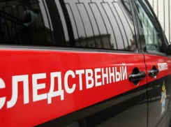 Рухнувшим стеллажом раздавило двухлетнюю девочку в Волгоградской области