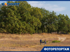 Осеннюю Волго-Ахтубинскую пойму, через которую собираются проложить трассу, показал фотограф  