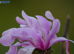 Облачно, давление и порывистый ветер: погода на 25 апреля в Волгограде