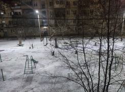 Волгоград засыпало первым снегом