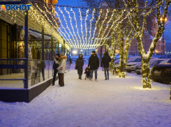 Новогодние фонарики за 1,2 млн закупает мэрия Волгограда