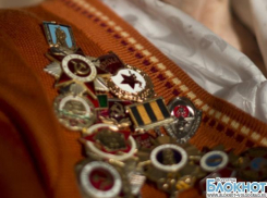 У волгоградских ветеранов может появиться свой омбудсмен