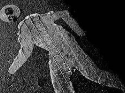 Под Волгоградом водитель насмерть сбил 38-летнего пешехода и скрылся