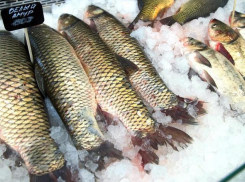 Роспотребнадзор снял с реализации почти полтонны рыбы в Волгограде
