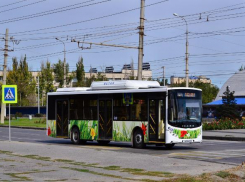 В Волгограде продлили автобус №55 и запустили новый маршрут №55к 