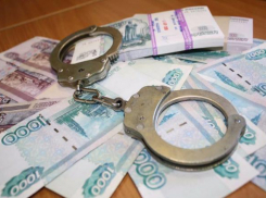 Сэкономивший на налогах 11 млн рублей директор идет под суд в Волгограде