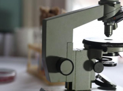 В больнице под Волгоградом недосчитались два микроскопа после ухода посетителя 