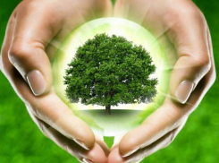 В октябре волгоградцы станут участниками акции по сбору макулатуры