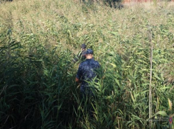 Пропавшую в Калаче девочку ищут 300 полицейских