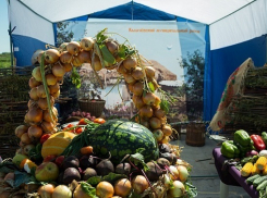 Горожан приглашают в выходные на ярмарку «Дары земли волгоградской»