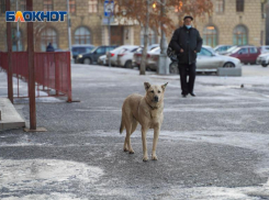 Экстренное предупреждение объявили в Волгоградской области 