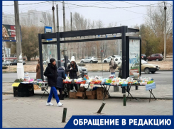 Разобраться с лоточной торговлей ширпотребом и красной икрой требуют в Волгограде