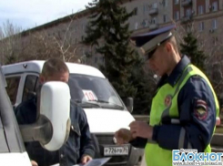 Волгоградские автоинспекторы провели рейд среди маршруток города