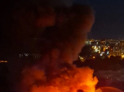 В Волгограде произошел пожар на территории заброшенного завода