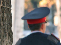 Под Волгоградом селянин из-за замечания избил полицейского