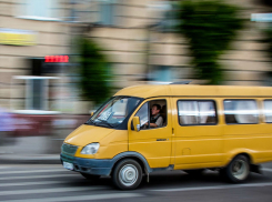 Перевозчики Волжских маршрутов №160 и 260 ответят за нарушения в суде