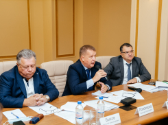 В Волгоградской области решили оздоровить реки с помощью водорослей хлореллы