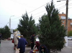 «Это беспредел»: на Ангарском полиция разогнала бабушек с огурцами