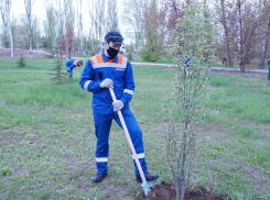 С заботой о природе: завод AB InBev Efes в Волжском принял участие в городском субботнике 