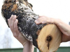 Под Волгоградом сотрудник хлебозавода насмерть забил товарища поленом 