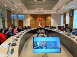 Экологический совет Волгоградской облдумы подвел итоги работы в уходящем году