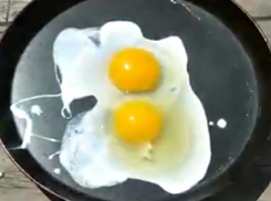 Волгоградцы сняли видеоурок приготовления яичницы на табуретке в жару