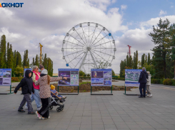 До +1 градуса похолодает в Волгограде 24 октября