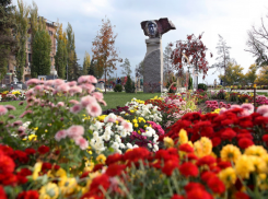 За территории для благоустройства на следующий год проголосуют в Волгограде