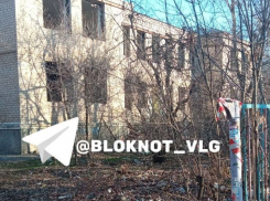 «Здесь своры собак, бичи и дети»: сравнять с землей жуткий детский сад просят в Волгограде