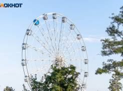 Они уже не будут прежними: показываем культовые парка Волгограда