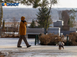 Отдыхать – не работать: что качают волгоградцы в городских парках