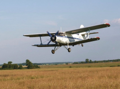 Три самолета Ан-2 совершили вынужденную посадку в Волгоградской области