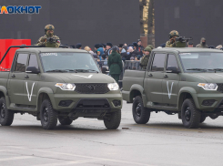 Путин ввел досмотр машин на границах с Волгоградской областью