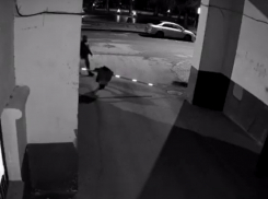 Волгоградка телом протаранила шлагбаум на Аллее Героев и скрылась: видео