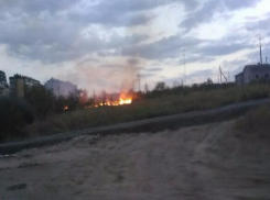 В Волгограде загорелся овраг у жилого комплекса «Комарово»