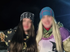 Заподозренных в гей-пропаганде волгоградцев готов защищать мэр