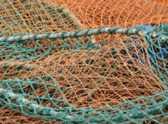 Браконьер запутался в собственных сетях и погиб под Волгоградом