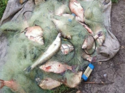 19 браконьерских сайтов закончили свою работу в Волгограде