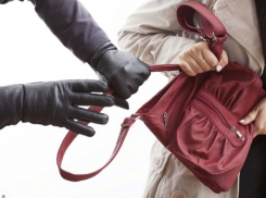 Праздничный грабеж пережила пенсионерка в международный женский день в Волгоградской области