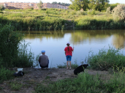 Детям негде купаться, а уткам плавать: пруд в «Родниковой долине» загадили рабочие строительным мусором