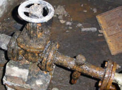 125 тысяч рублей штрафа получила УК за мусор в подвале дома на юге Волгограда