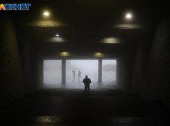 Надо заработать деньги, но людей видеть не хочешь? Топ-5 профессией для волгоградцев