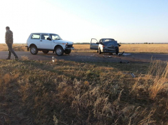 Под Волгоградом «Нива» протаранила «ВАЗ»: двое в больнице