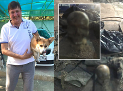 Депутат Осипов шокировал волгоградцев циничной демонстрацией останков павших защитников Отечества