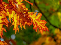 Гороскоп на месяц: октябрь подходит для начала новой жизни, возможны судьбоносные события