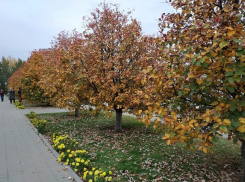 Синоптики рассказали, чего ждать волгоградцам от последнего рабочего дня уходящей недели