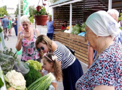 На юге Волгограда заработала ярмарка для местных фермеров