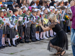 Четыре способа сделать нерабочим 1 сентября назвали волгоградцам
